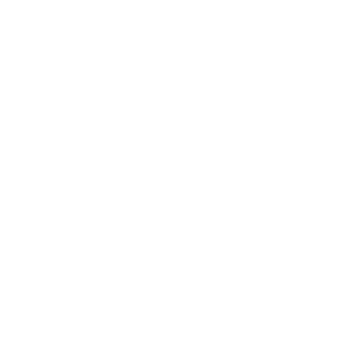 Ruler